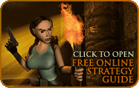 Free Online Strategy Guide